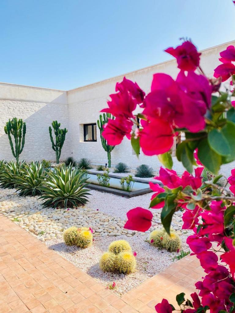 אסאוירה Le Clos De La Roussiere מראה חיצוני תמונה