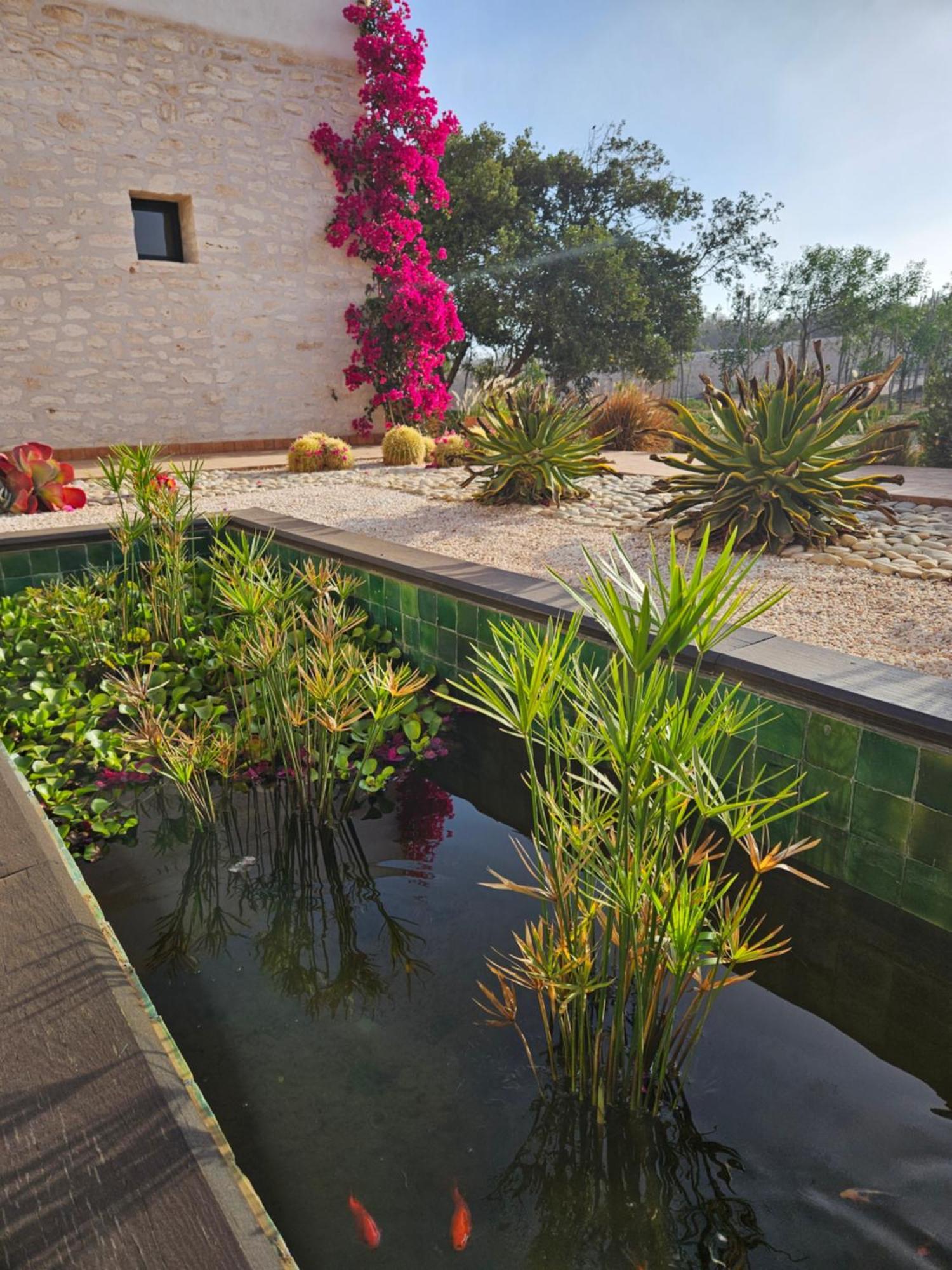 אסאוירה Le Clos De La Roussiere מראה חיצוני תמונה