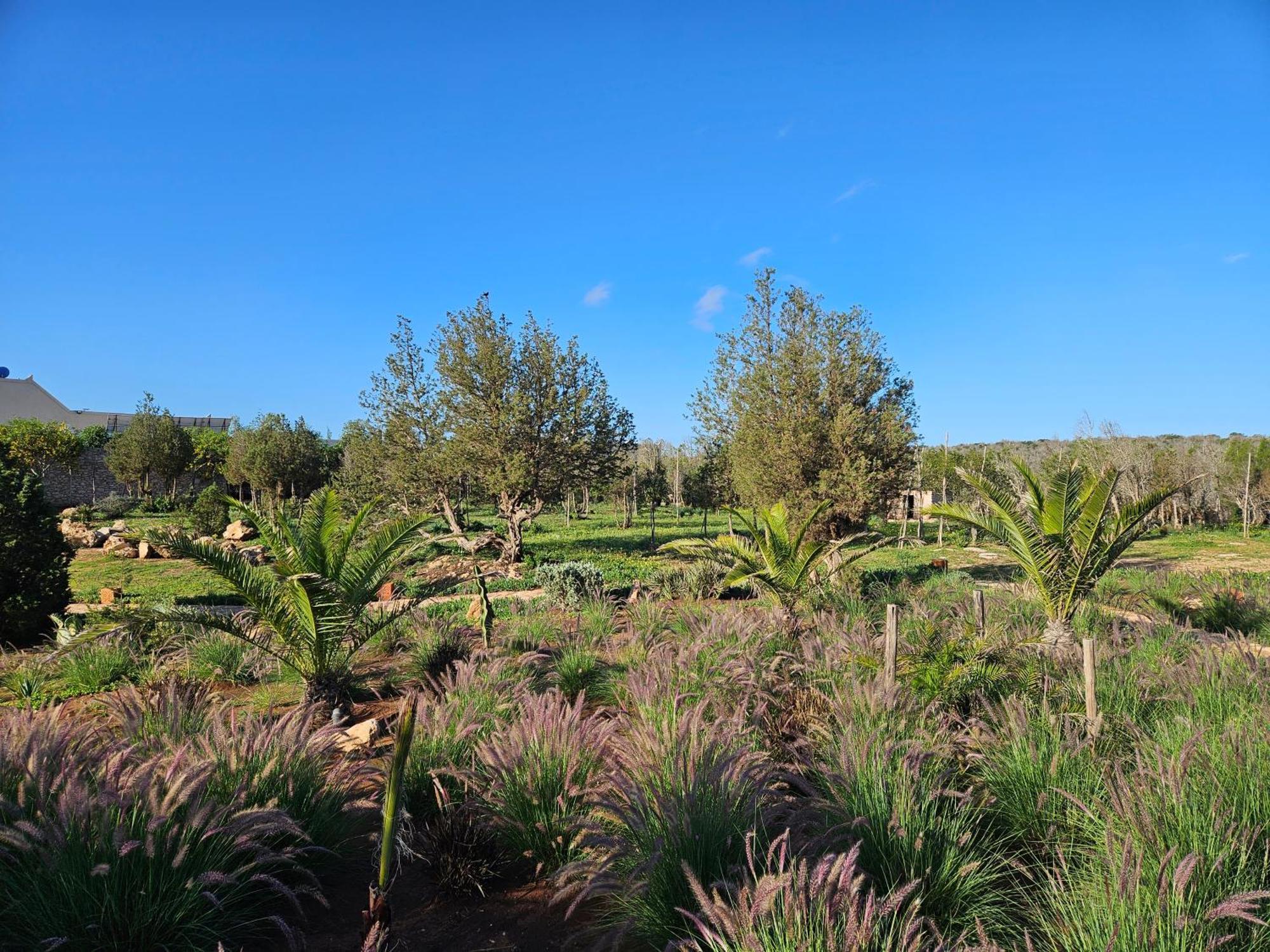 אסאוירה Le Clos De La Roussiere מראה חיצוני תמונה