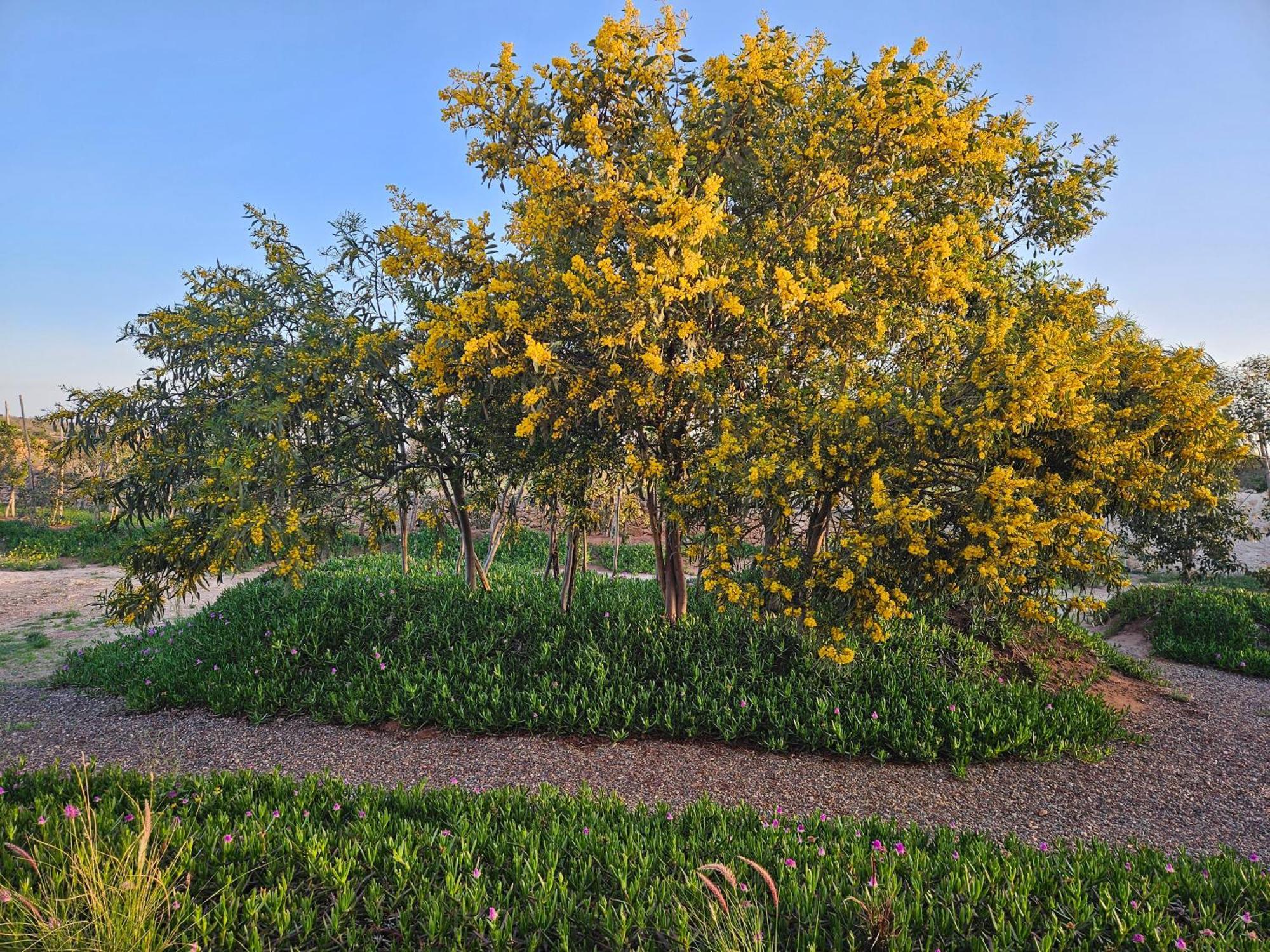 אסאוירה Le Clos De La Roussiere מראה חיצוני תמונה