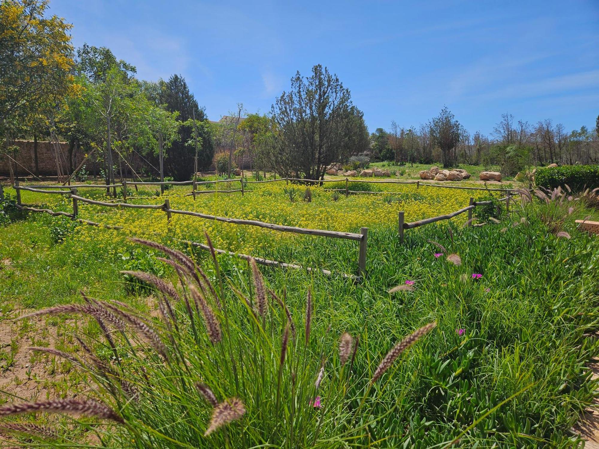 אסאוירה Le Clos De La Roussiere מראה חיצוני תמונה